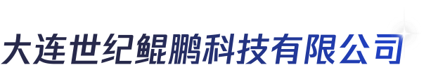 大连世纪鲲鹏科技有限公司